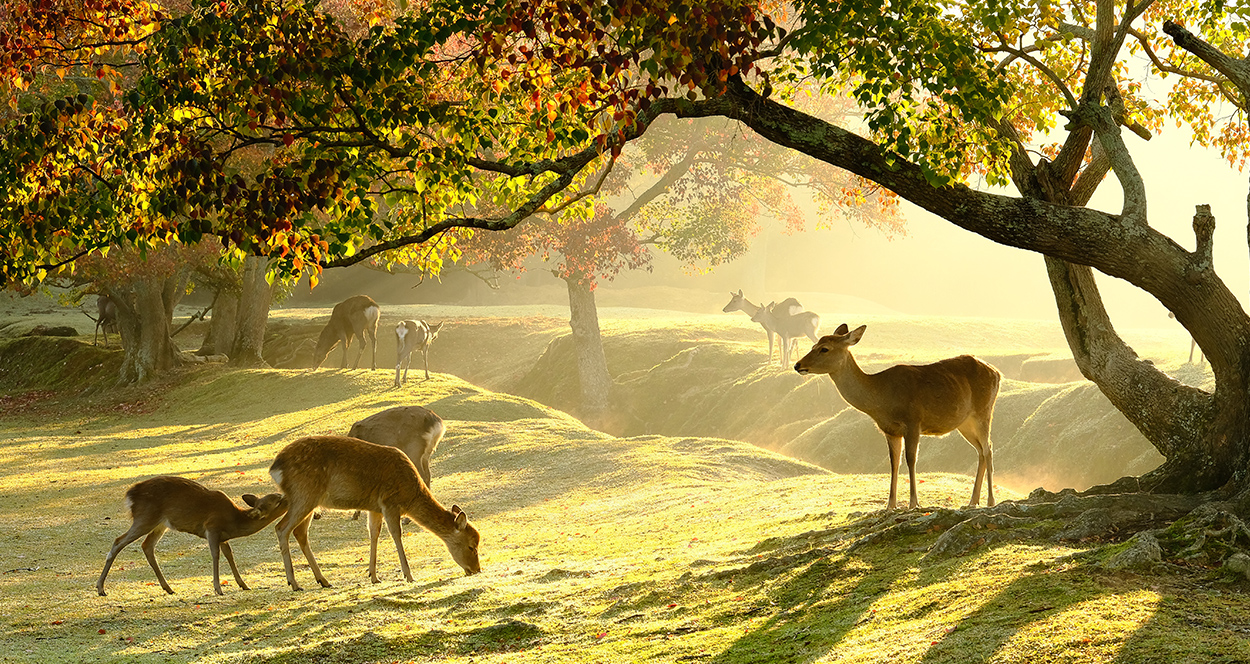 環境に優しい会社